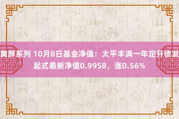 黄胖系列 10月8日基金净值：太平丰满一年定开债发起式最新净值0.9958，涨0.56%