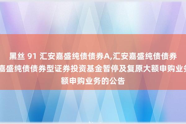 黑丝 91 汇安嘉盛纯债债券A,汇安嘉盛纯债债券C: 汇安嘉盛纯债债券型证券投资基金暂停及复原大额申购业务的公告