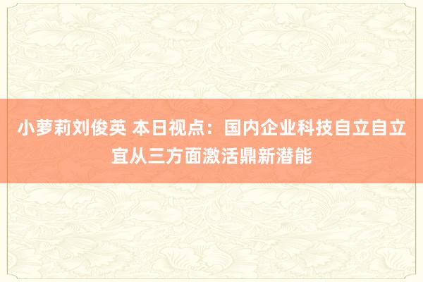 小萝莉刘俊英 本日视点：国内企业科技自立自立宜从三方面激活鼎新潜能