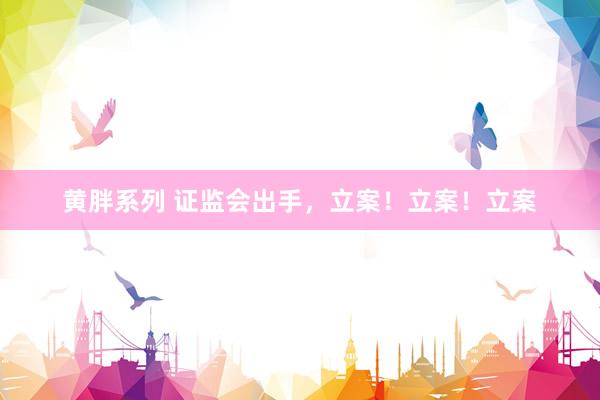 黄胖系列 证监会出手，立案！立案！立案