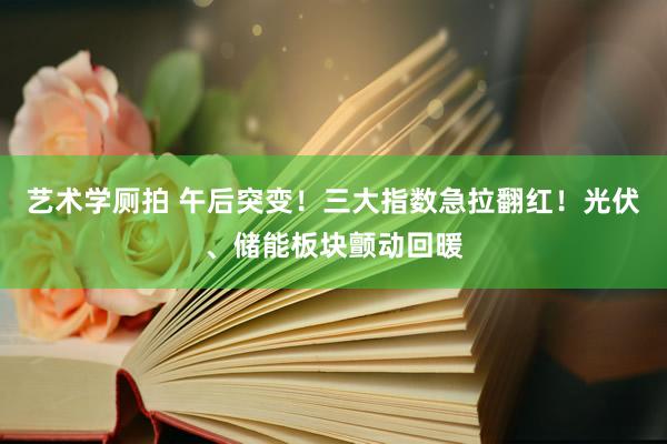 艺术学厕拍 午后突变！三大指数急拉翻红！光伏、储能板块颤动回暖