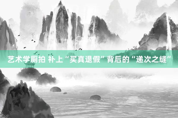 艺术学厕拍 补上“买真退假”背后的“递次之缝”