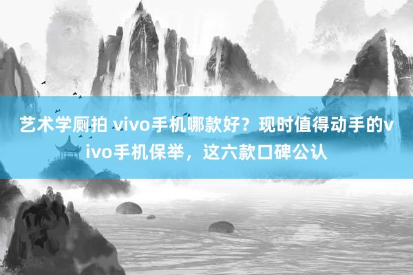 艺术学厕拍 vivo手机哪款好？现时值得动手的vivo手机保举，这六款口碑公认