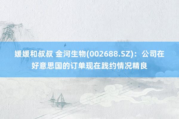 媛媛和叔叔 金河生物(002688.SZ)：公司在好意思国的订单现在践约情况精良