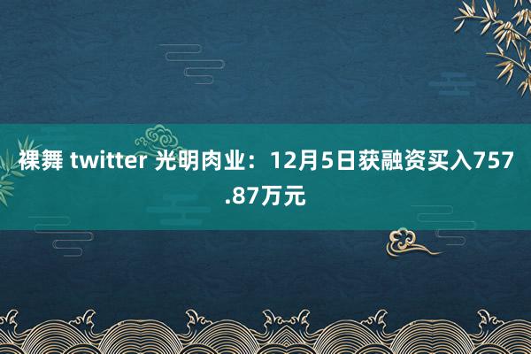 裸舞 twitter 光明肉业：12月5日获融资买入757.87万元