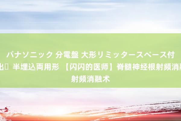 パナソニック 分電盤 大形リミッタースペース付 露出・半埋込両用形 【闪闪的医师】脊髓神经根射频消融术