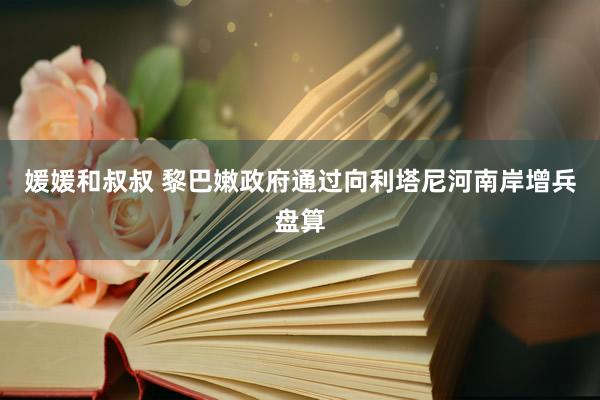 媛媛和叔叔 黎巴嫩政府通过向利塔尼河南岸增兵盘算