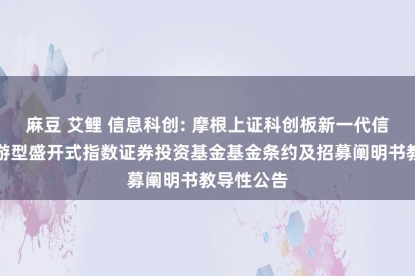 麻豆 艾鲤 信息科创: 摩根上证科创板新一代信息本事交游型盛开式指数证券投资基金基金条约及招募阐明书教导性公告