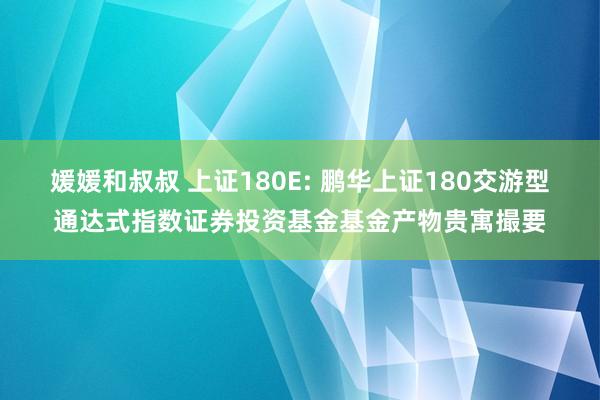 媛媛和叔叔 上证180E: 鹏华上证180交游型通达式指数证券投资基金基金产物贵寓撮要