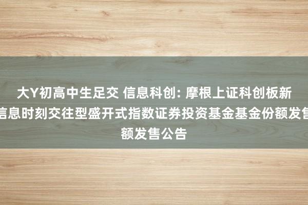 大Y初高中生足交 信息科创: 摩根上证科创板新一代信息时刻交往型盛开式指数证券投资基金基金份额发售公告