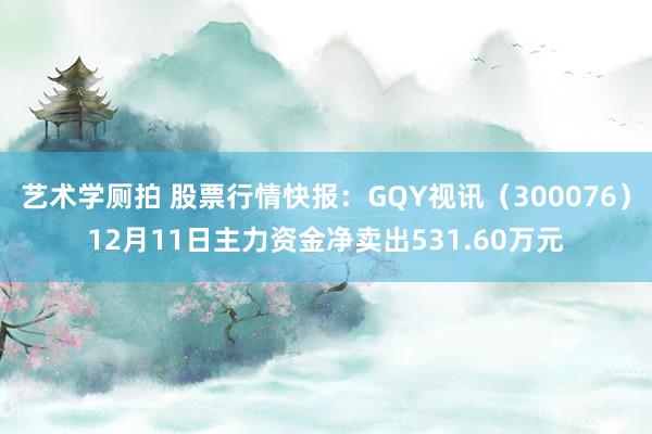 艺术学厕拍 股票行情快报：GQY视讯（300076）12月11日主力资金净卖出531.60万元
