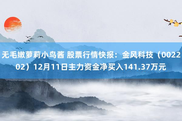 无毛嫩萝莉小鸟酱 股票行情快报：金风科技（002202）12月11日主力资金净买入141.37万元