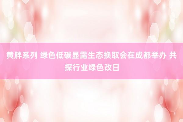 黄胖系列 绿色低碳显露生态换取会在成都举办 共探行业绿色改日