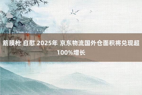 筋膜枪 自慰 2025年 京东物流国外仓面积将兑现超100%增长