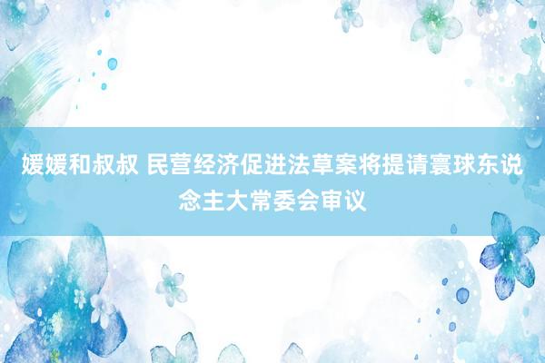 媛媛和叔叔 民营经济促进法草案将提请寰球东说念主大常委会审议