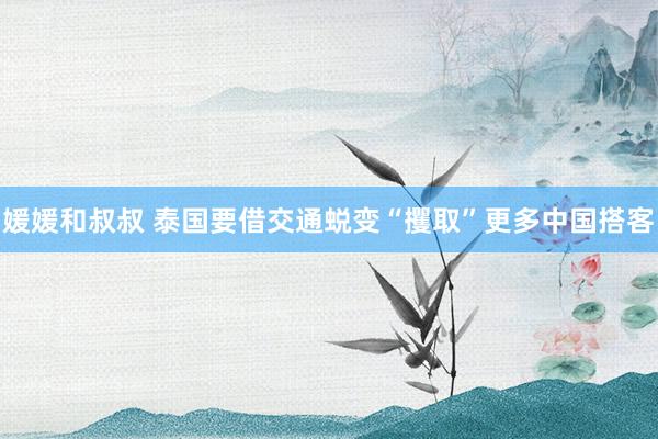 媛媛和叔叔 泰国要借交通蜕变“攫取”更多中国搭客