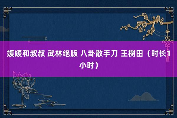 媛媛和叔叔 武林绝版 八卦散手刀 王樹田（时长1小时）