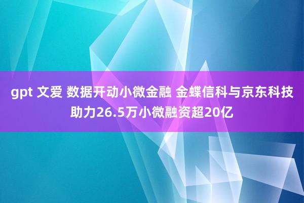 gpt 文爱 数据开动小微金融 金蝶信科与京东科技助力26.5万小微融资超20亿