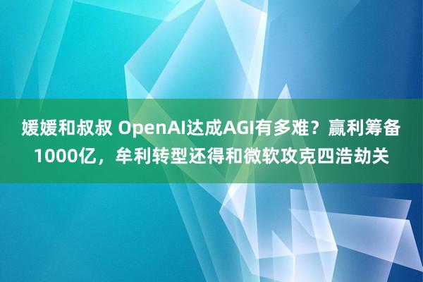 媛媛和叔叔 OpenAI达成AGI有多难？赢利筹备1000亿，牟利转型还得和微软攻克四浩劫关