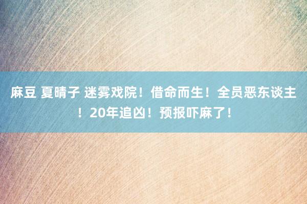 麻豆 夏晴子 迷雾戏院！借命而生！全员恶东谈主！20年追凶！预报吓麻了！