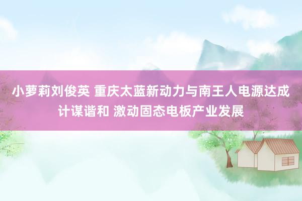 小萝莉刘俊英 重庆太蓝新动力与南王人电源达成计谋谐和 激动固态电板产业发展