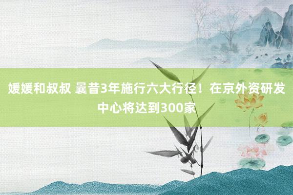 媛媛和叔叔 曩昔3年施行六大行径！在京外资研发中心将达到300家