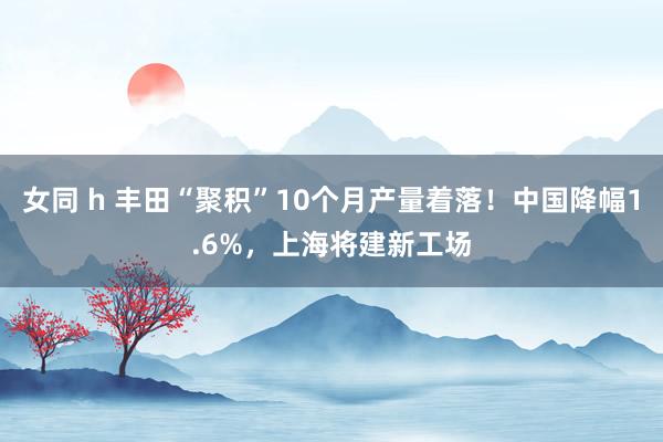 女同 h 丰田“聚积”10个月产量着落！中国降幅1.6%，上海将建新工场