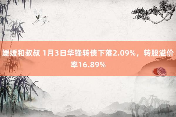 媛媛和叔叔 1月3日华锋转债下落2.09%，转股溢价率16.89%