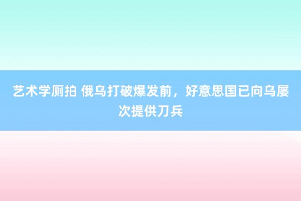 艺术学厕拍 俄乌打破爆发前，好意思国已向乌屡次提供刀兵