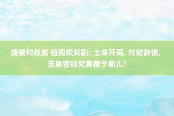 媛媛和叔叔 短视频爽剧: 土味开局， 付微辞锁， 流量密码究竟藏于那儿?