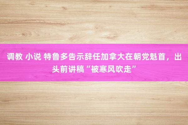 调教 小说 特鲁多告示辞任加拿大在朝党魁首，出头前讲稿“被寒风吹走”