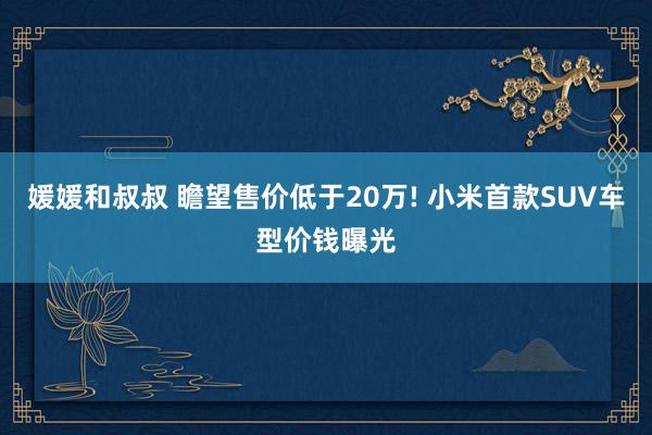 媛媛和叔叔 瞻望售价低于20万! 小米首款SUV车型价钱曝光