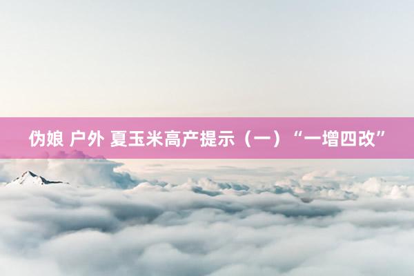 伪娘 户外 夏玉米高产提示（一）“一增四改”