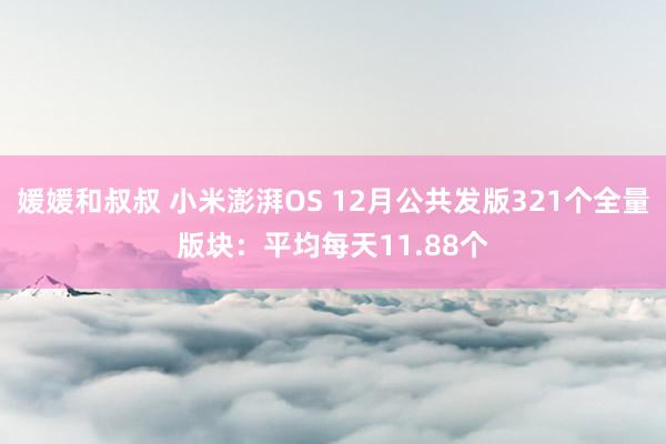媛媛和叔叔 小米澎湃OS 12月公共发版321个全量版块：平均每天11.88个