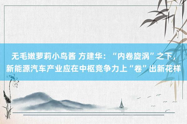 无毛嫩萝莉小鸟酱 方建华：“内卷旋涡”之下，新能源汽车产业应在中枢竞争力上“卷”出新花样