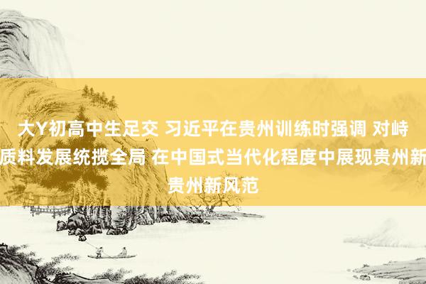 大Y初高中生足交 习近平在贵州训练时强调 对峙以高质料发展统揽全局 在中国式当代化程度中展现贵州新风范