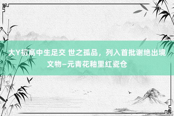 大Y初高中生足交 世之孤品，列入首批谢绝出境文物—元青花釉里红瓷仓