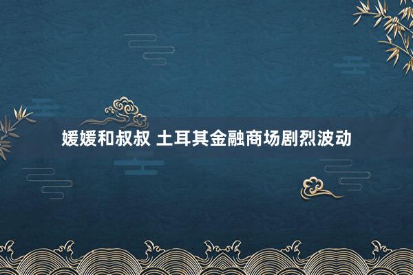 媛媛和叔叔 土耳其金融商场剧烈波动