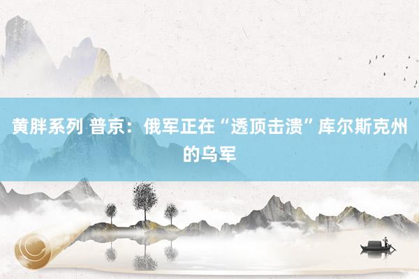 黄胖系列 普京：俄军正在“透顶击溃”库尔斯克州的乌军