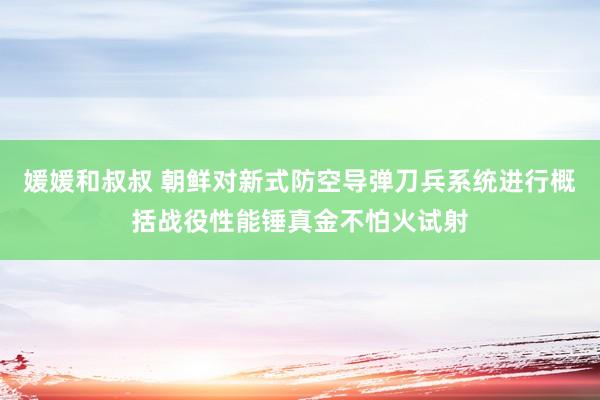 媛媛和叔叔 朝鲜对新式防空导弹刀兵系统进行概括战役性能锤真金不怕火试射