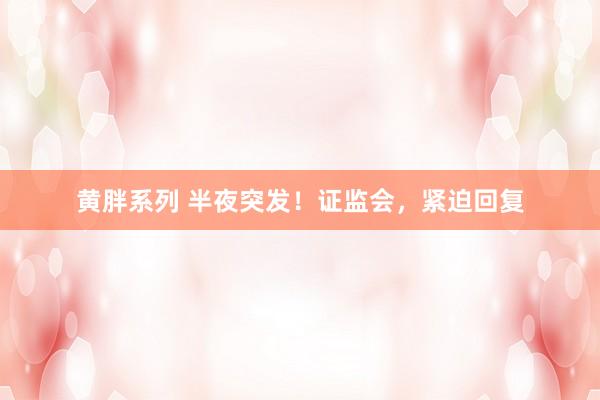 黄胖系列 半夜突发！证监会，紧迫回复