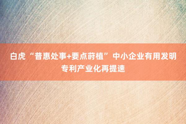 白虎 “普惠处事+要点莳植” 中小企业有用发明专利产业化再提速