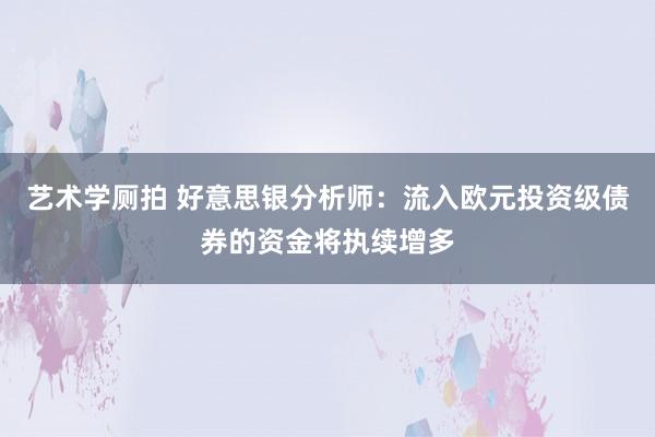艺术学厕拍 好意思银分析师：流入欧元投资级债券的资金将执续增多
