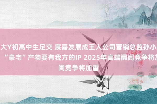 大Y初高中生足交 宸嘉发展成王人公司营销总监孙小溪：“豪宅”产物要有我方的IP 2025年高端阛阓竞争将加重