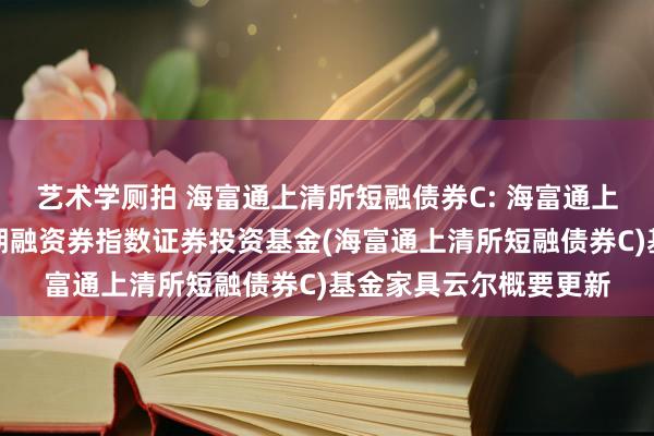 艺术学厕拍 海富通上清所短融债券C: 海富通上海计帐所中高档第短期融资券指数证券投资基金(海富通上清所短融债券C)基金家具云尔概要更新