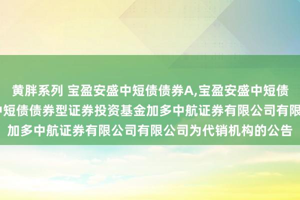 黄胖系列 宝盈安盛中短债债券A,宝盈安盛中短债债券C: 对于宝盈安盛中短债债券型证券投资基金加多中航证券有限公司有限公司为代销机构的公告