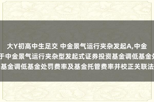 大Y初高中生足交 中金景气运行夹杂发起A,中金景气运行夹杂发起C: 对于中金景气运行夹杂型发起式证券投资基金调低基金处罚费率及基金托管费率并校正关联法律文献的公告