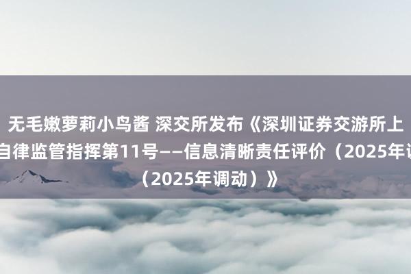 无毛嫩萝莉小鸟酱 深交所发布《深圳证券交游所上市公司自律监管指挥第11号——信息清晰责任评价（2025年调动）》