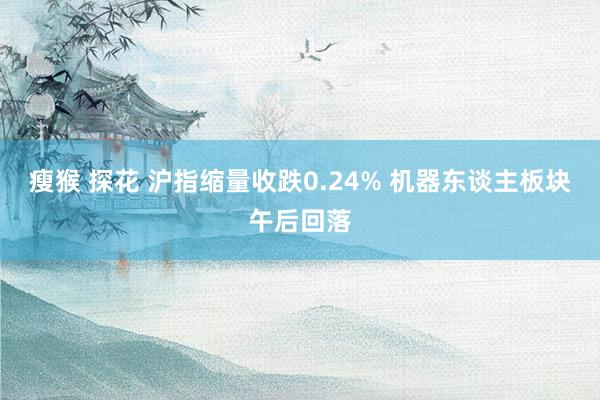 瘦猴 探花 沪指缩量收跌0.24% 机器东谈主板块午后回落