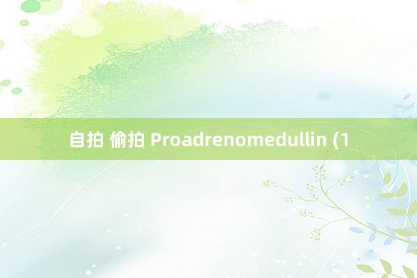 自拍 偷拍 Proadrenomedullin (1